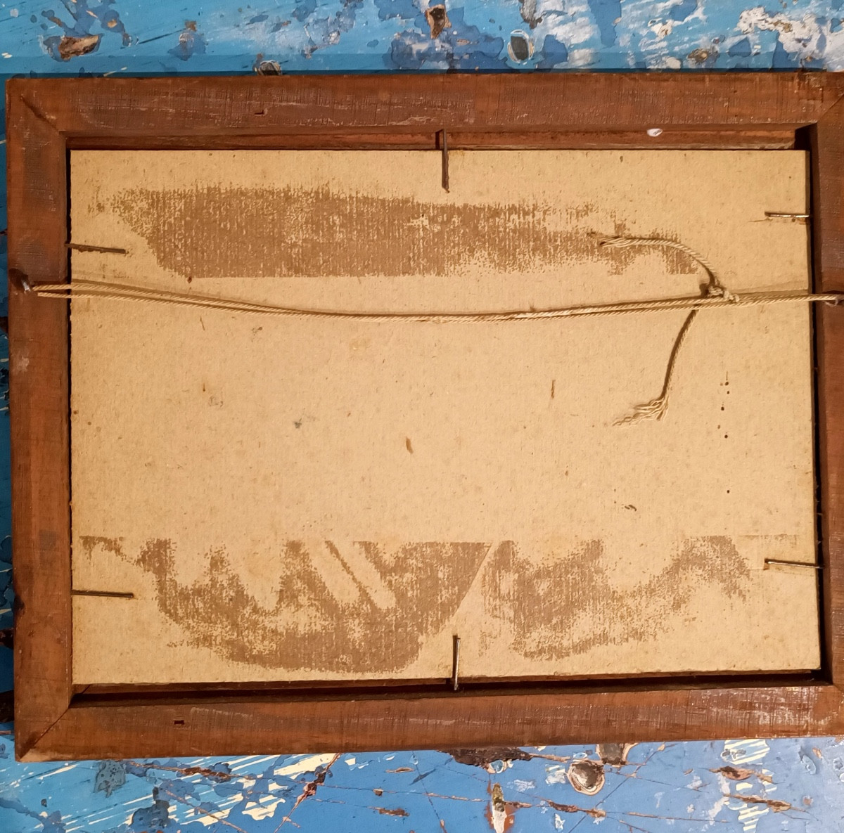 Portrait Of A Hunting Dog-photo-1