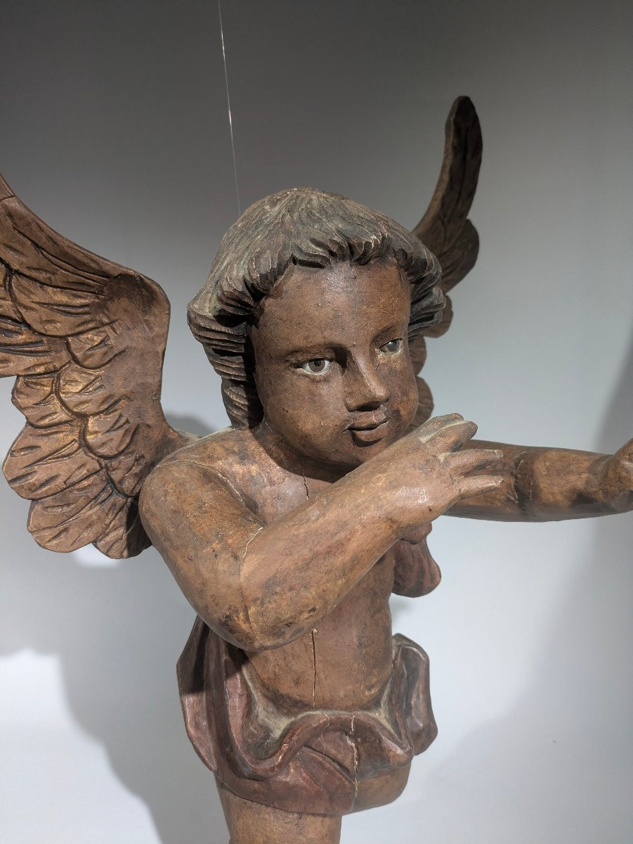 Angelot Putti Musicien -photo-2