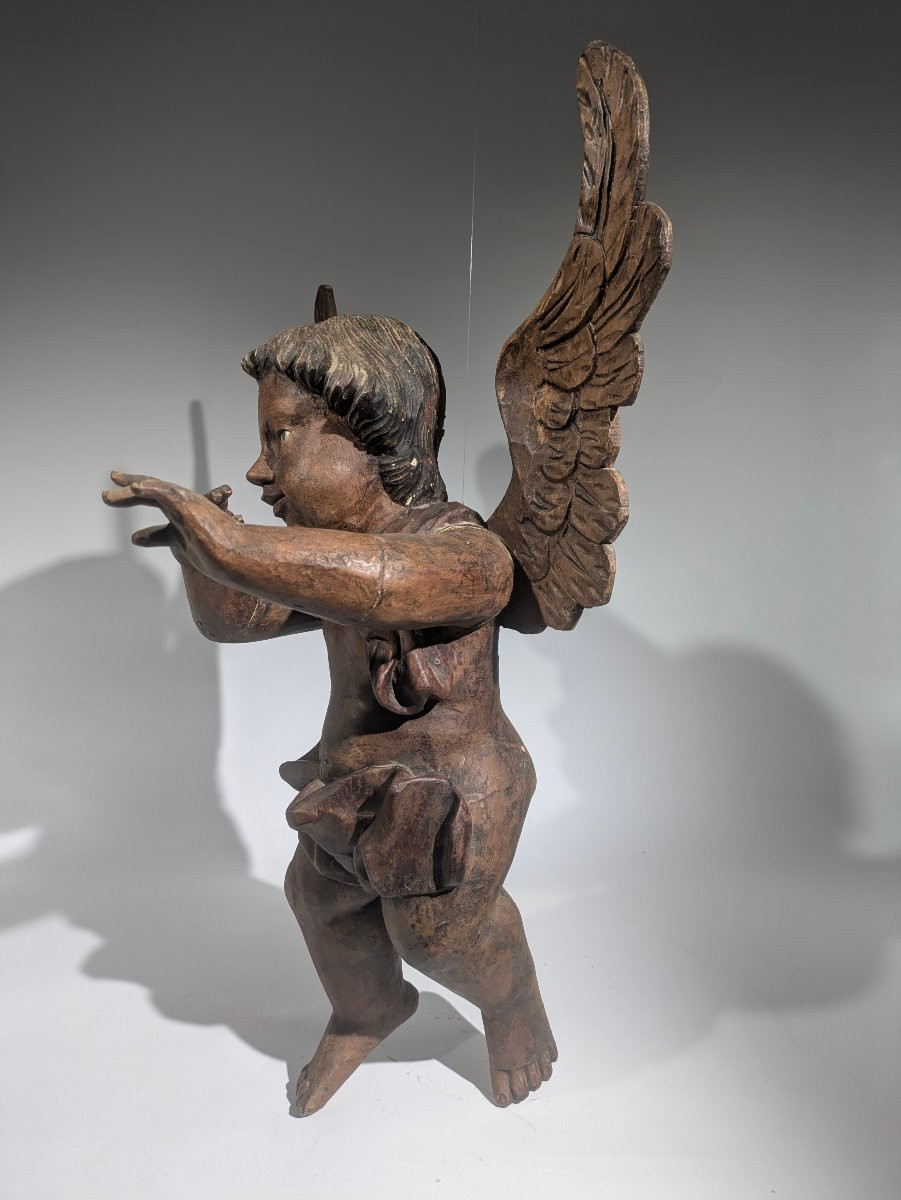 Angelot Putti Musicien -photo-3