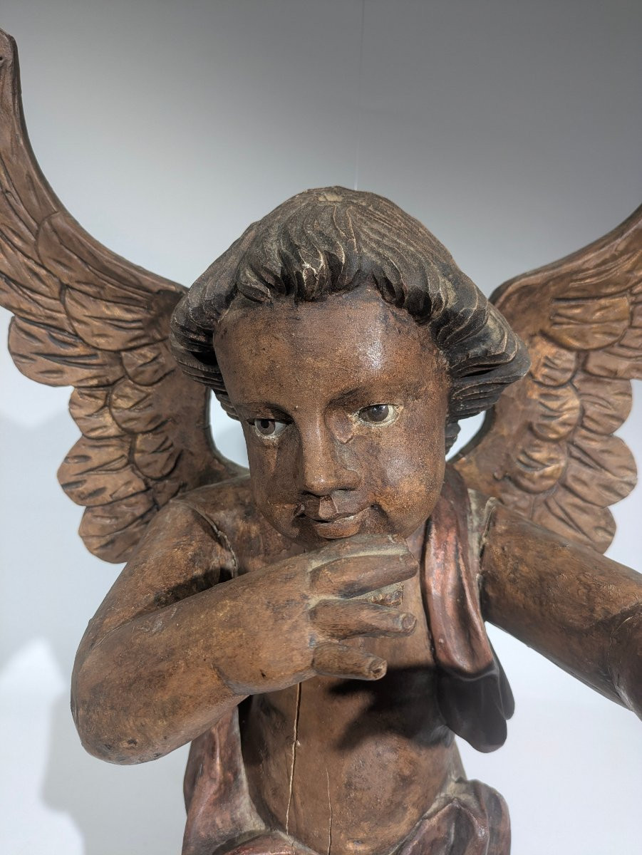 Angelot Putti Musicien -photo-4