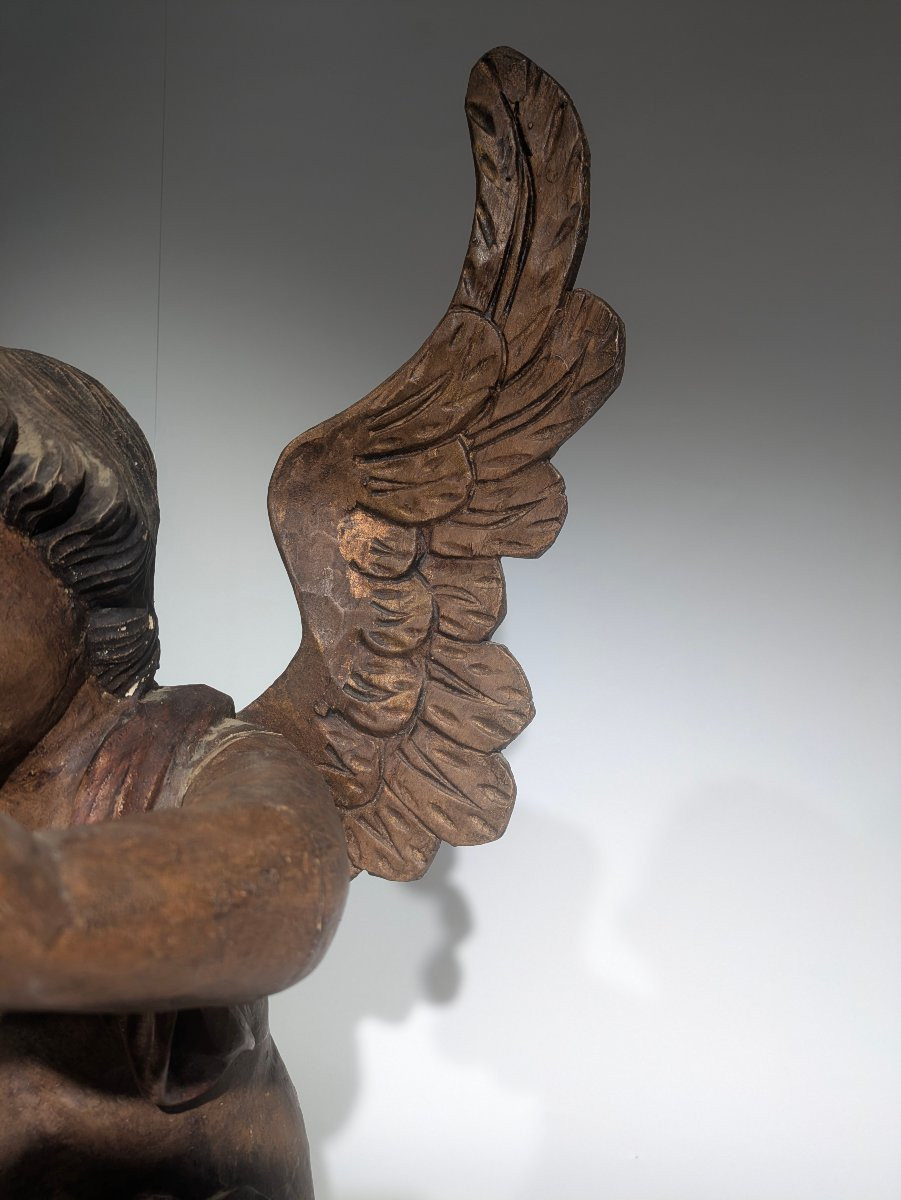 Angelot Putti Musicien -photo-2
