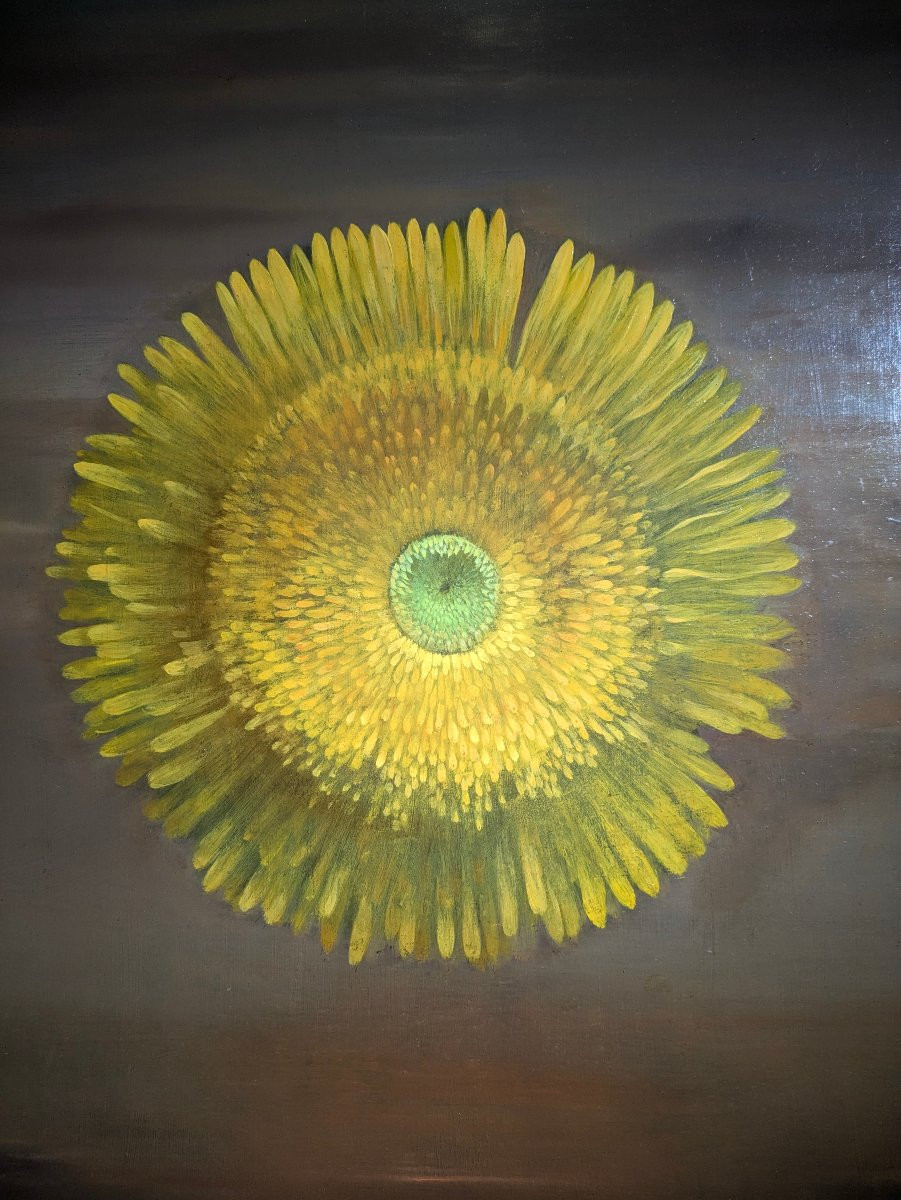 Sunflowers-photo-4