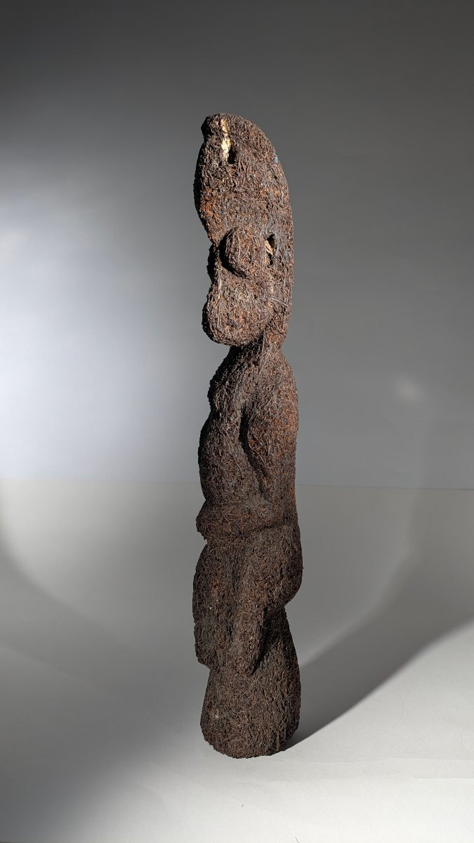 Statue de grade, île Ambrym, Archipel du Vanuatu-photo-5
