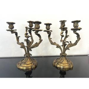 Pair Of Candelabras In Dore Bronze Louis XV Style 19th