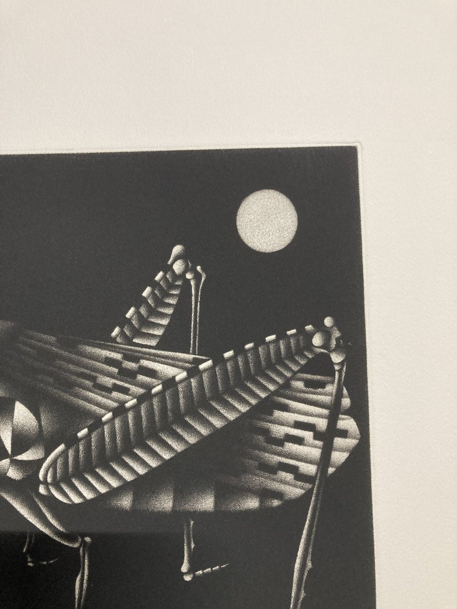 Mario Avati (1921-2009), Cricket, Mezzotint, 1970-photo-3