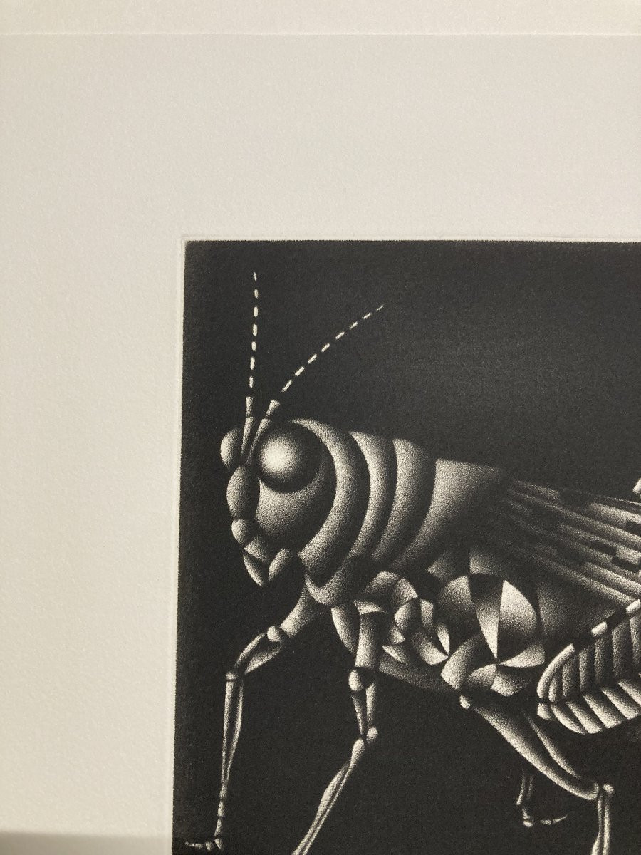 Mario Avati (1921-2009), Cricket, Mezzotint, 1970-photo-4