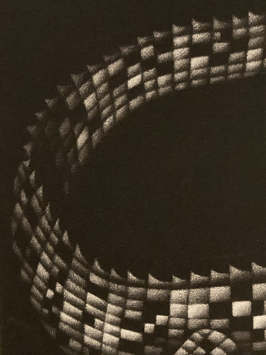 Mario Avati (1921-2009), Alligator, Mezzotint, 1970-photo-7
