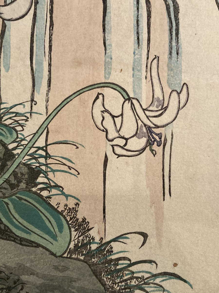 Nakayama Sūgakudō (active 1850-1870), Woodpecker And Erythronium Japonicum, Japanese Print 1859-photo-3