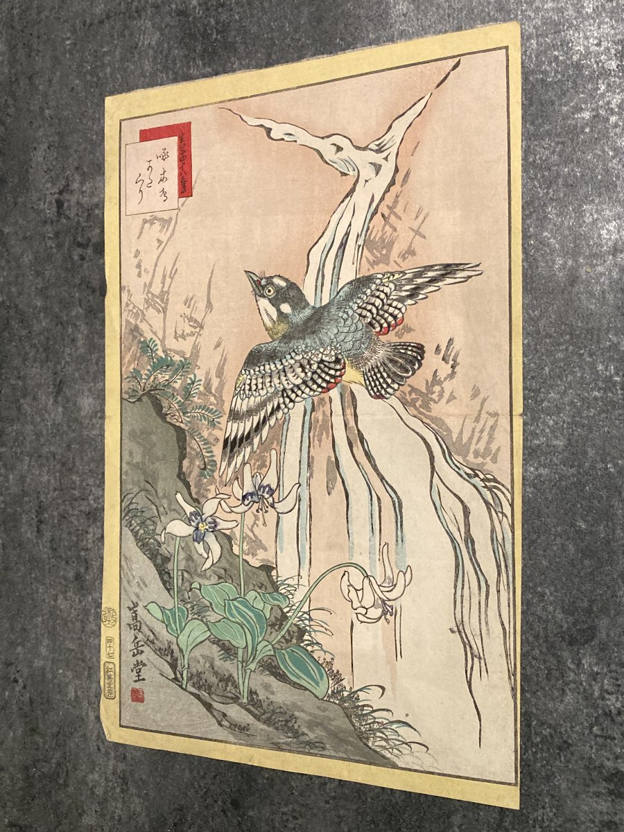 Nakayama Sūgakudō (active 1850-1870), Woodpecker And Erythronium Japonicum, Japanese Print 1859-photo-8