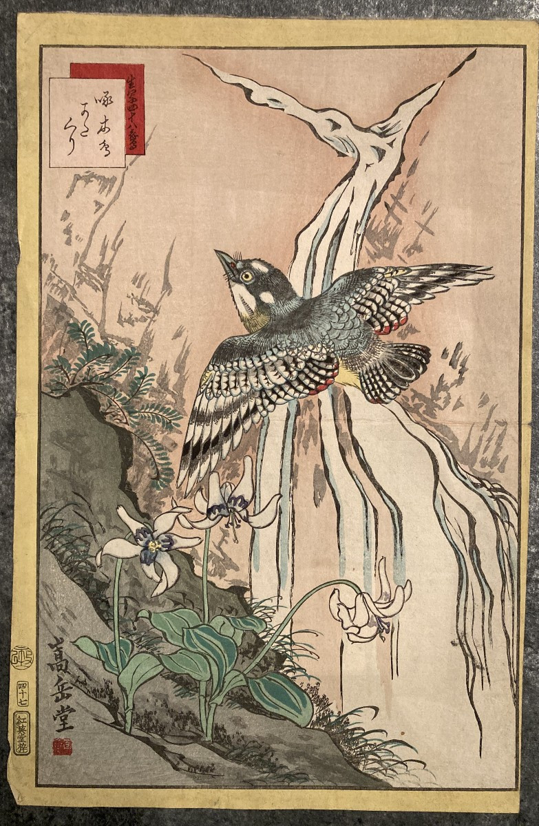 Nakayama Sūgakudō (active 1850-1870), Woodpecker And Erythronium Japonicum, Japanese Print 1859