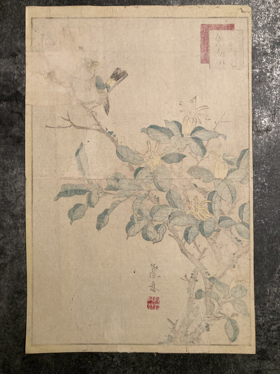 Nakayama Sūgakudō (active 1850-1870), Greenfinch And Gardenia, Japanese Print 1859-photo-2