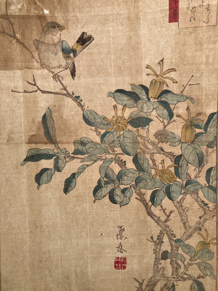 Nakayama Sūgakudō (active 1850-1870), Greenfinch And Gardenia, Japanese Print 1859-photo-3