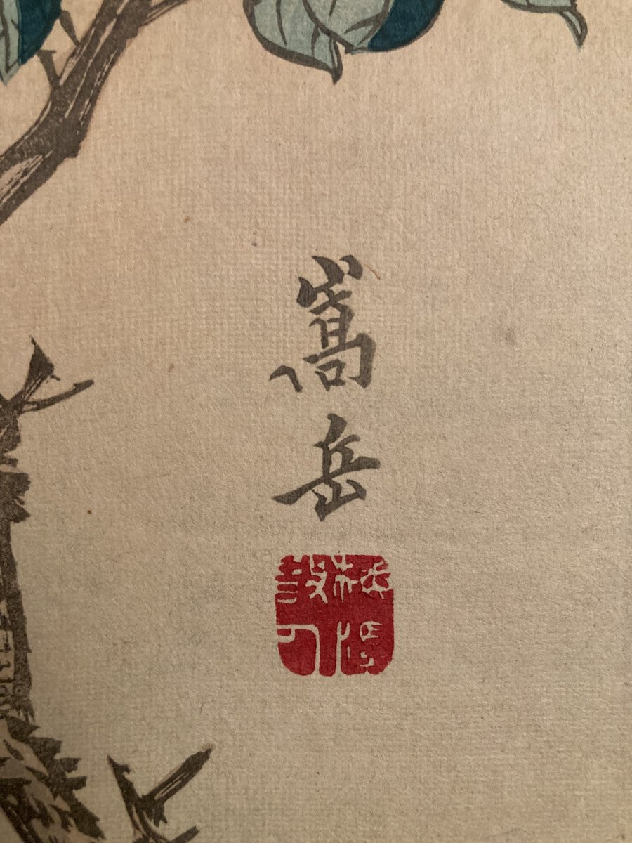 Nakayama Sūgakudō (active 1850-1870), Greenfinch And Gardenia, Japanese Print 1859-photo-4