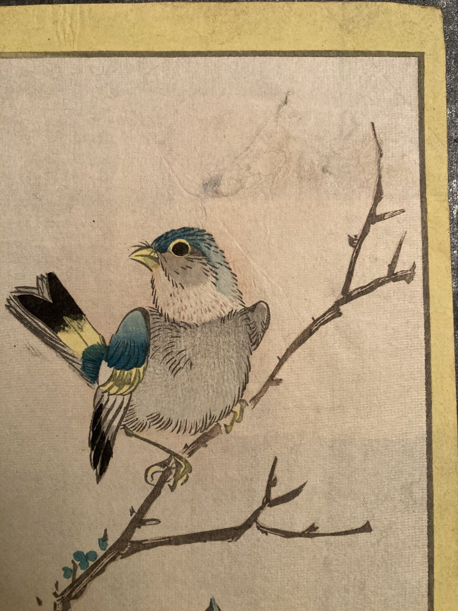 Nakayama Sūgakudō (active 1850-1870), Greenfinch And Gardenia, Japanese Print 1859-photo-2