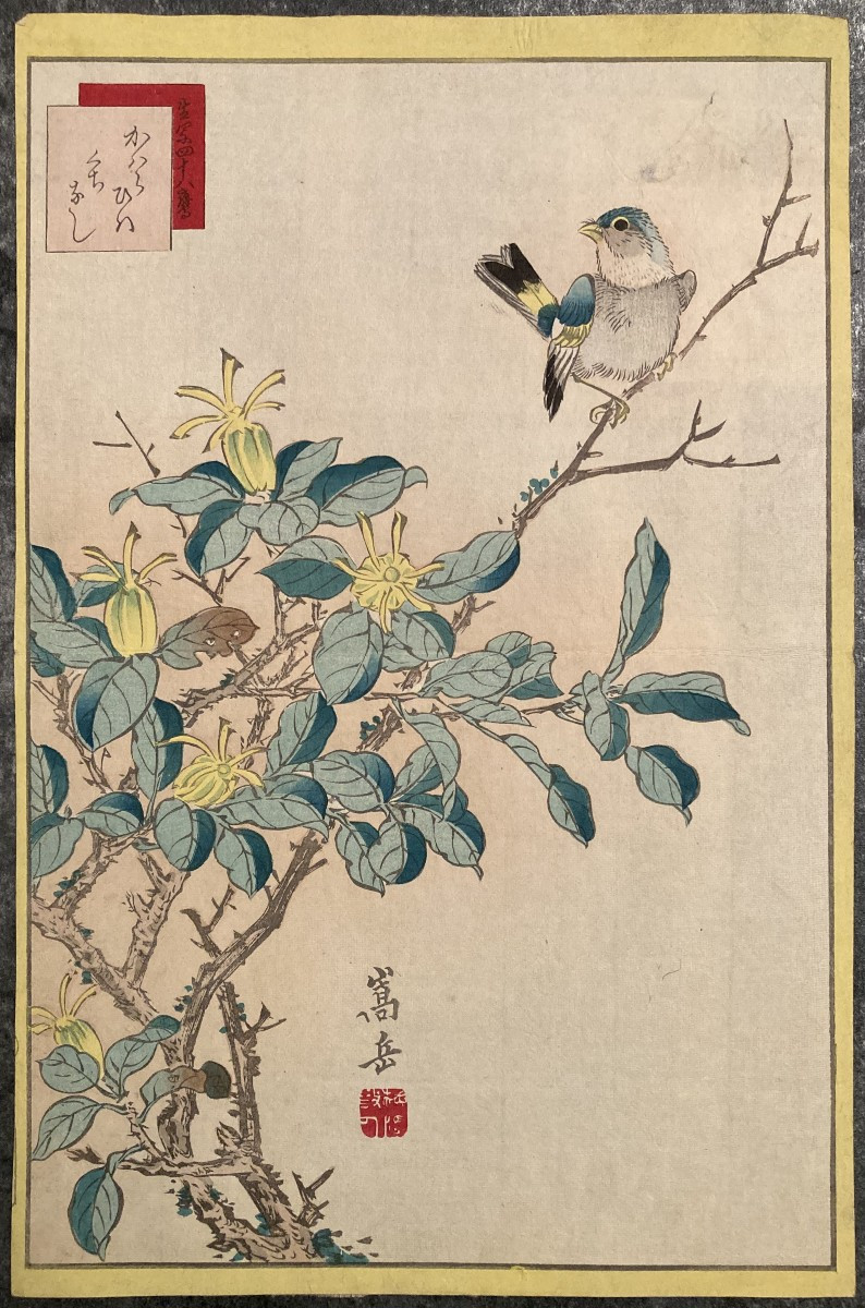 Nakayama Sūgakudō (active 1850-1870), Greenfinch And Gardenia, Japanese Print 1859