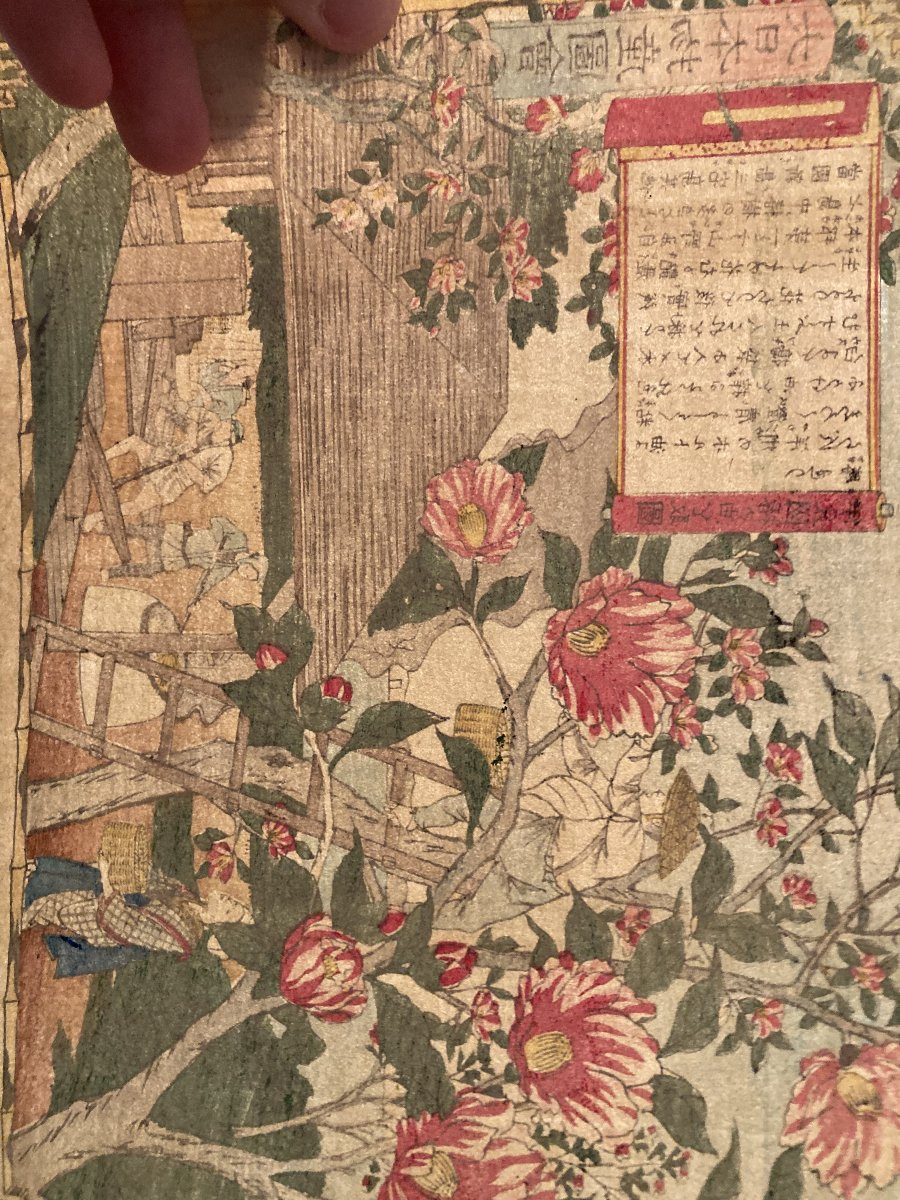 Tokubei Ando (1842-1894) Known As Hiroshige III, Production Of Camellia Oil In The Province Of Izu-photo-3