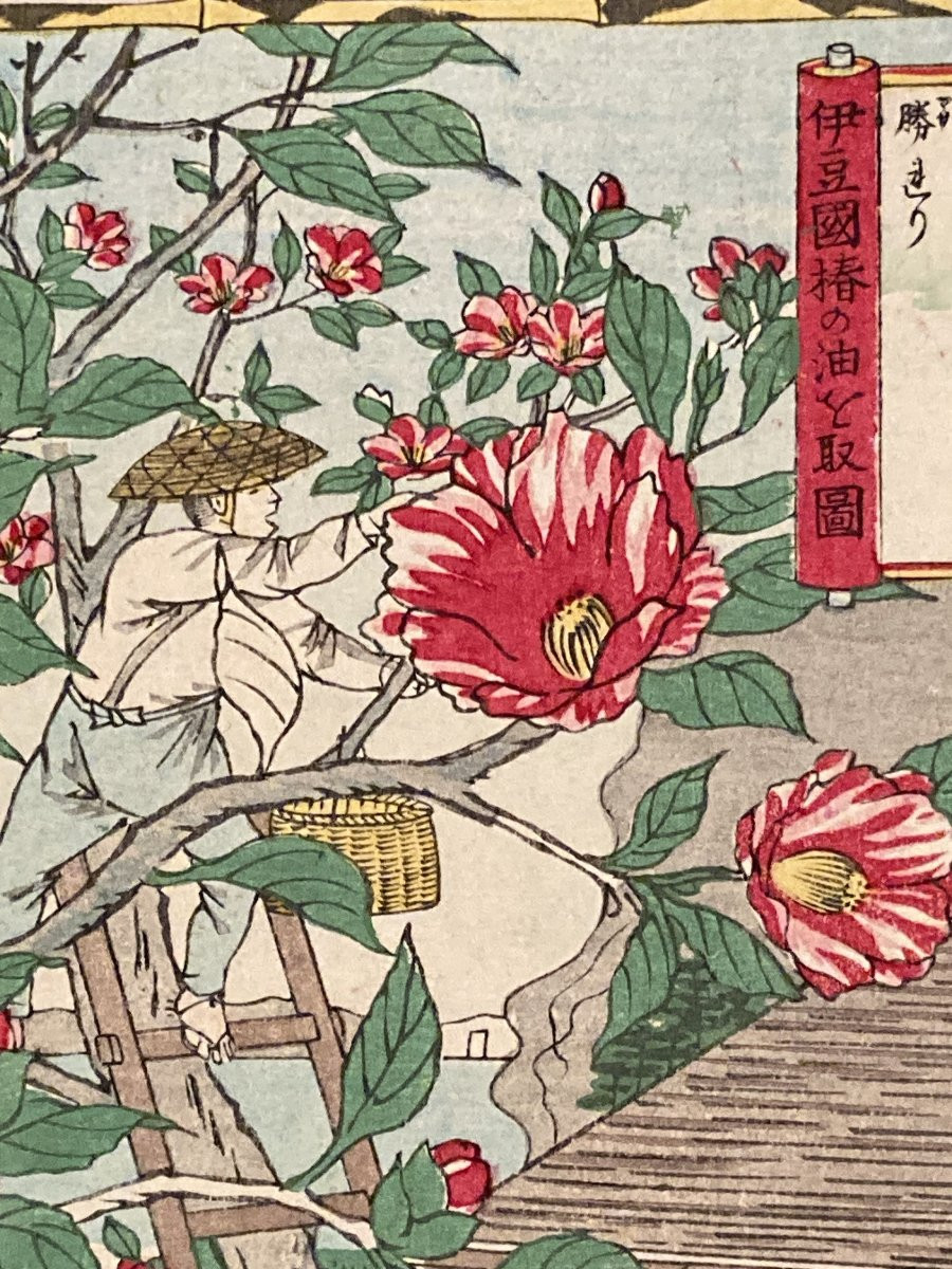Tokubei Ando (1842-1894) Known As Hiroshige III, Production Of Camellia Oil In The Province Of Izu-photo-6