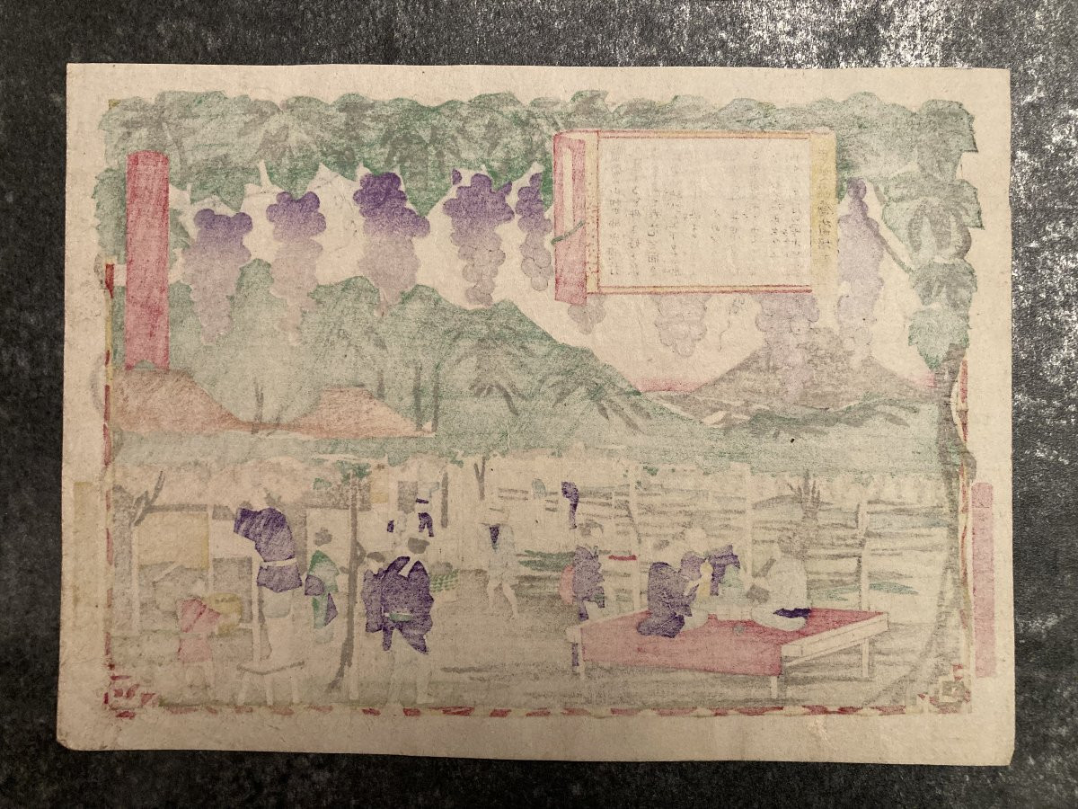 Tokubei ANDO (1842-1894) dit HIROSHIGE III, Raisins Kai, estampe japonaise-photo-2