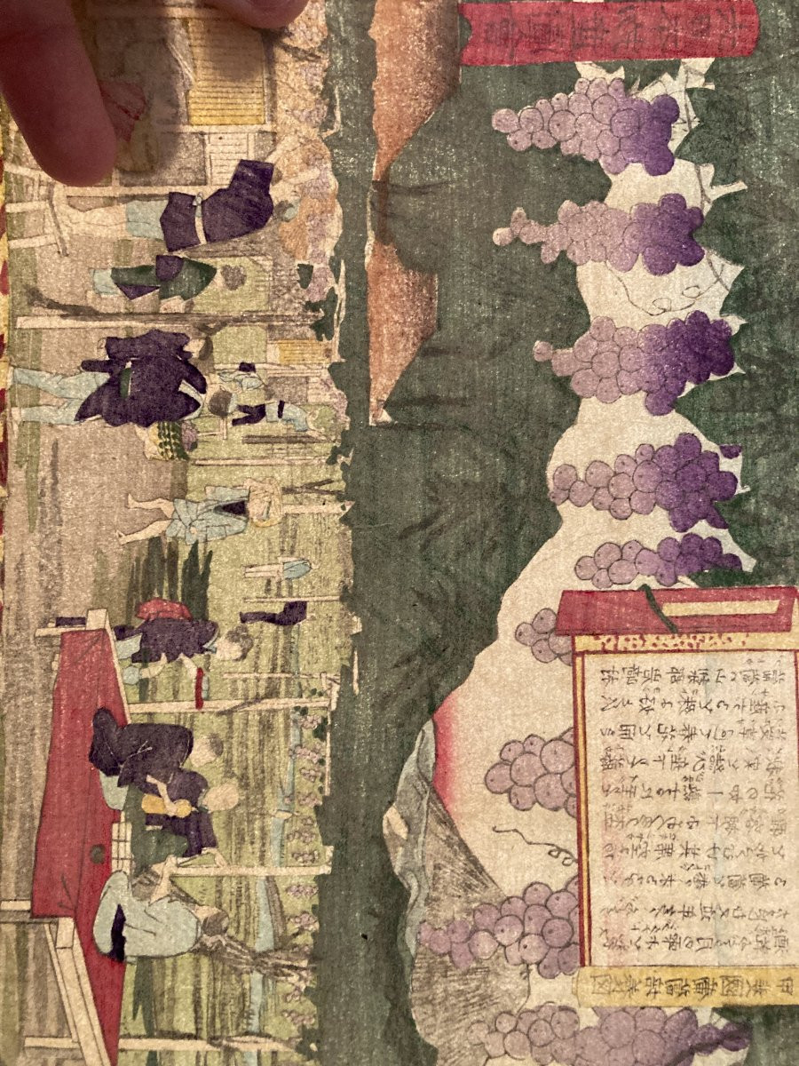 Tokubei ANDO (1842-1894) dit HIROSHIGE III, Raisins Kai, estampe japonaise-photo-3