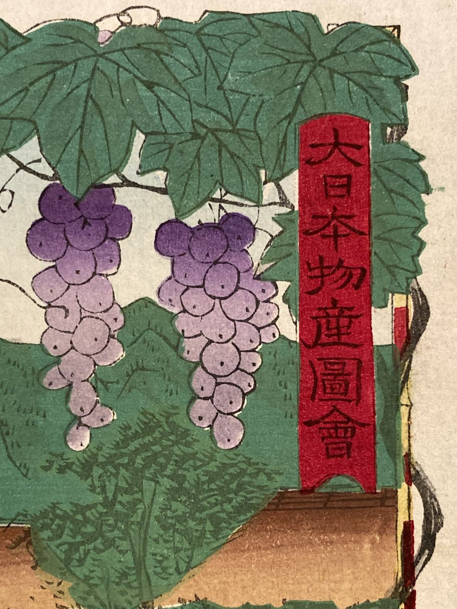 Tokubei ANDO (1842-1894) dit HIROSHIGE III, Raisins Kai, estampe japonaise-photo-4