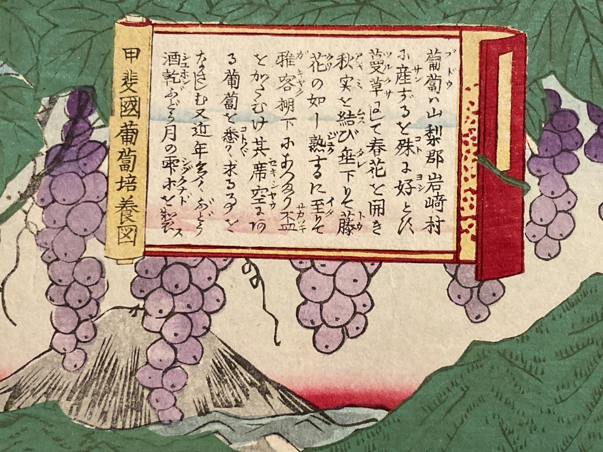 Tokubei ANDO (1842-1894) dit HIROSHIGE III, Raisins Kai, estampe japonaise-photo-2