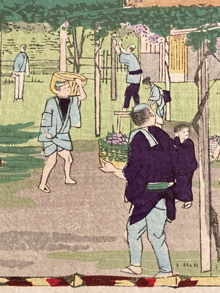 Tokubei ANDO (1842-1894) dit HIROSHIGE III, Raisins Kai, estampe japonaise-photo-6