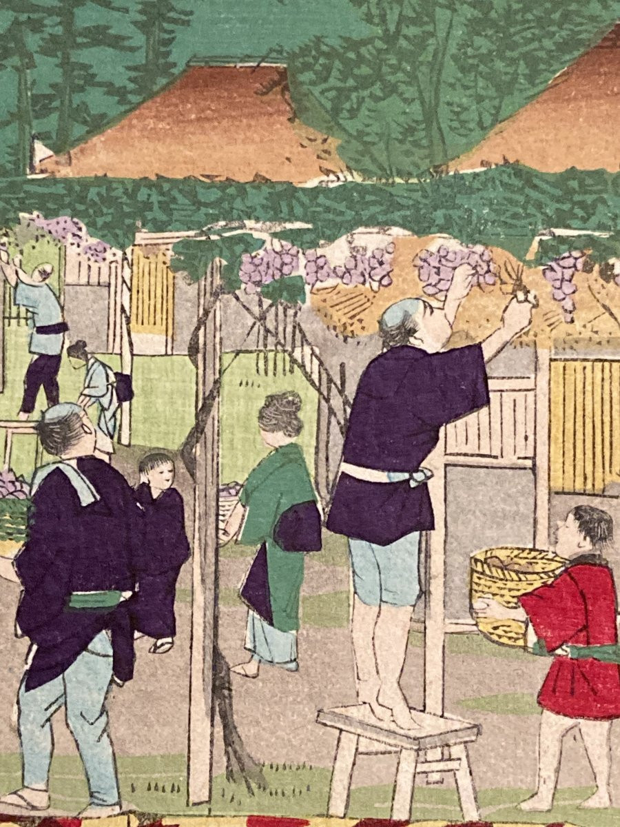 Tokubei ANDO (1842-1894) dit HIROSHIGE III, Raisins Kai, estampe japonaise-photo-7