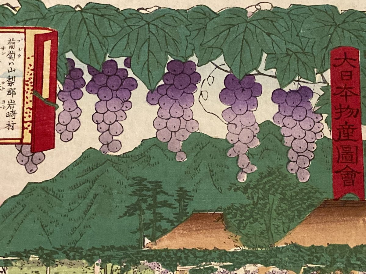 Tokubei ANDO (1842-1894) dit HIROSHIGE III, Raisins Kai, estampe japonaise-photo-8