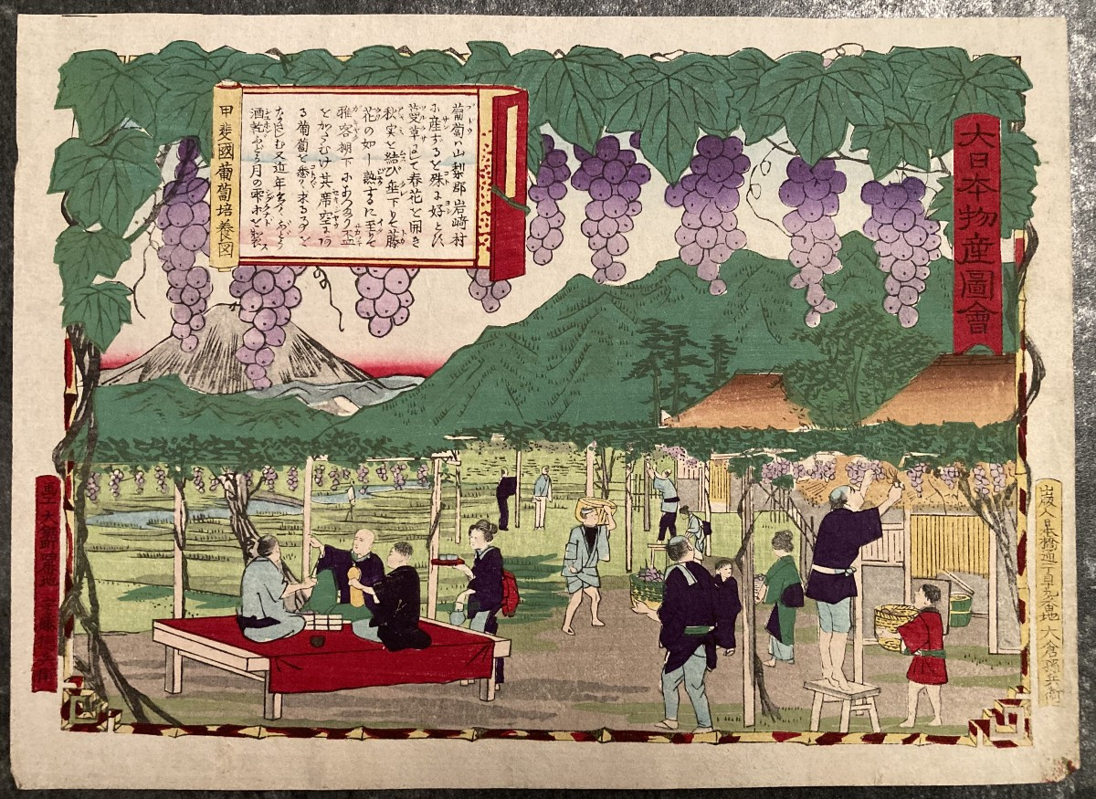 Tokubei ANDO (1842-1894) dit HIROSHIGE III, Raisins Kai, estampe japonaise