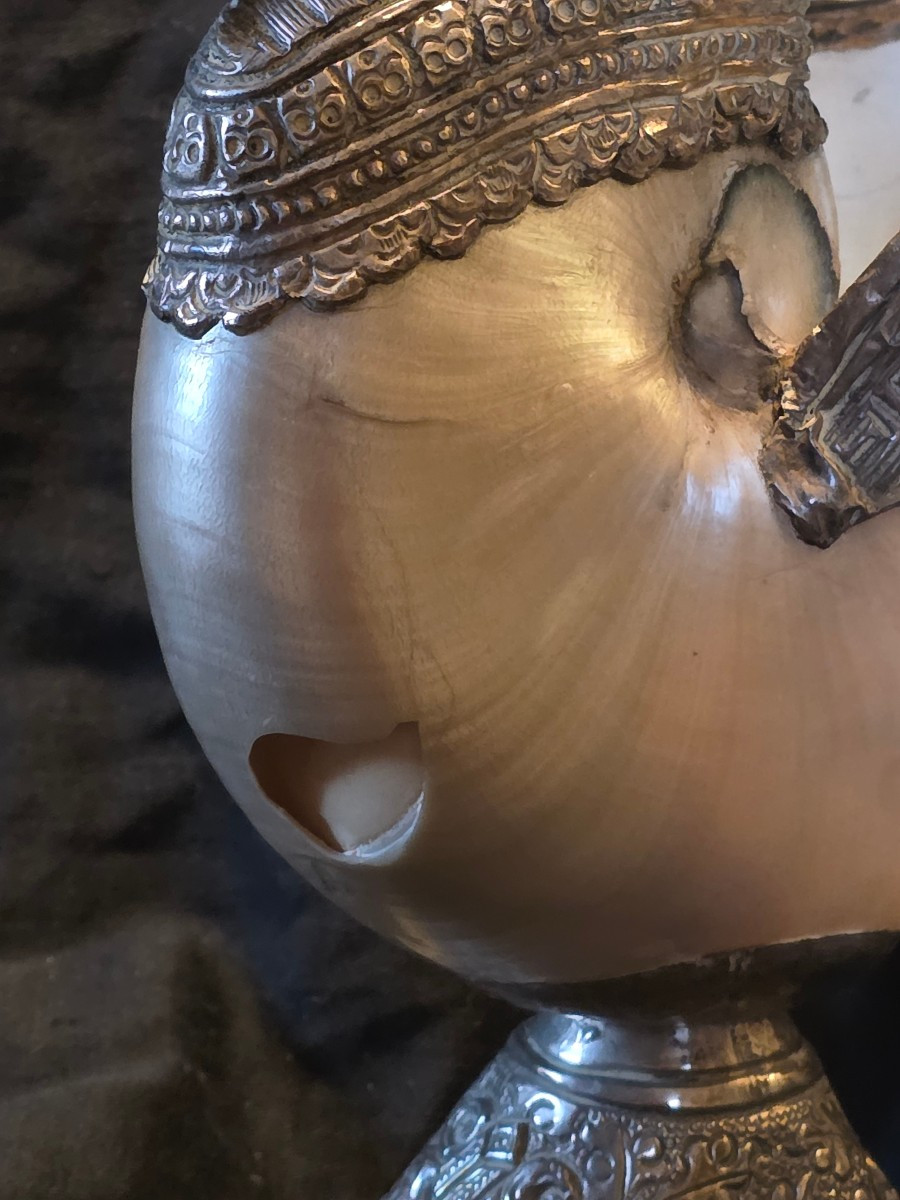 Silver Swan And Nautilus Circa 1900-photo-4