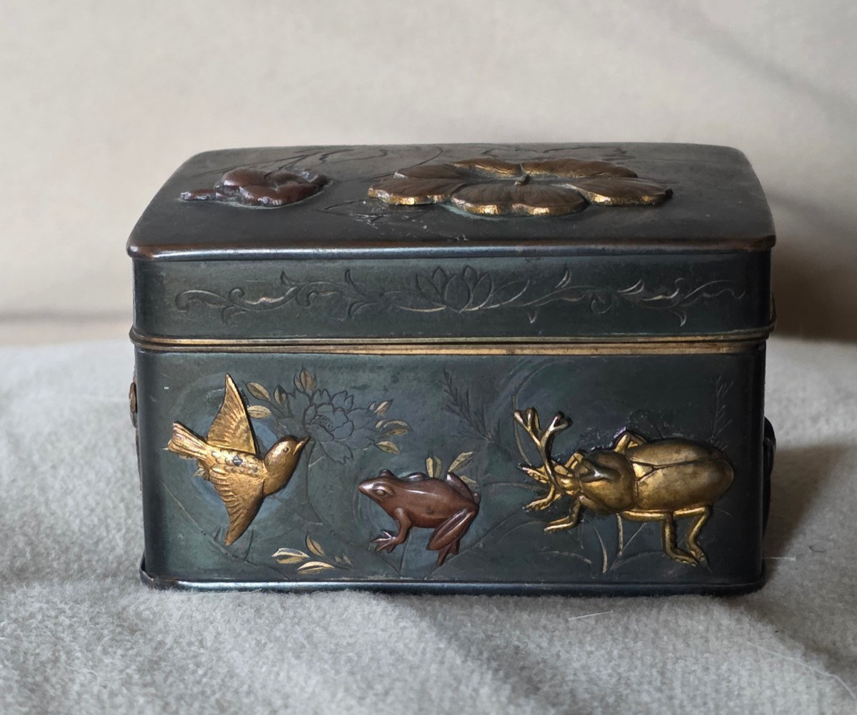 Japanese Metal Box With Insect, 19th Century-photo-2