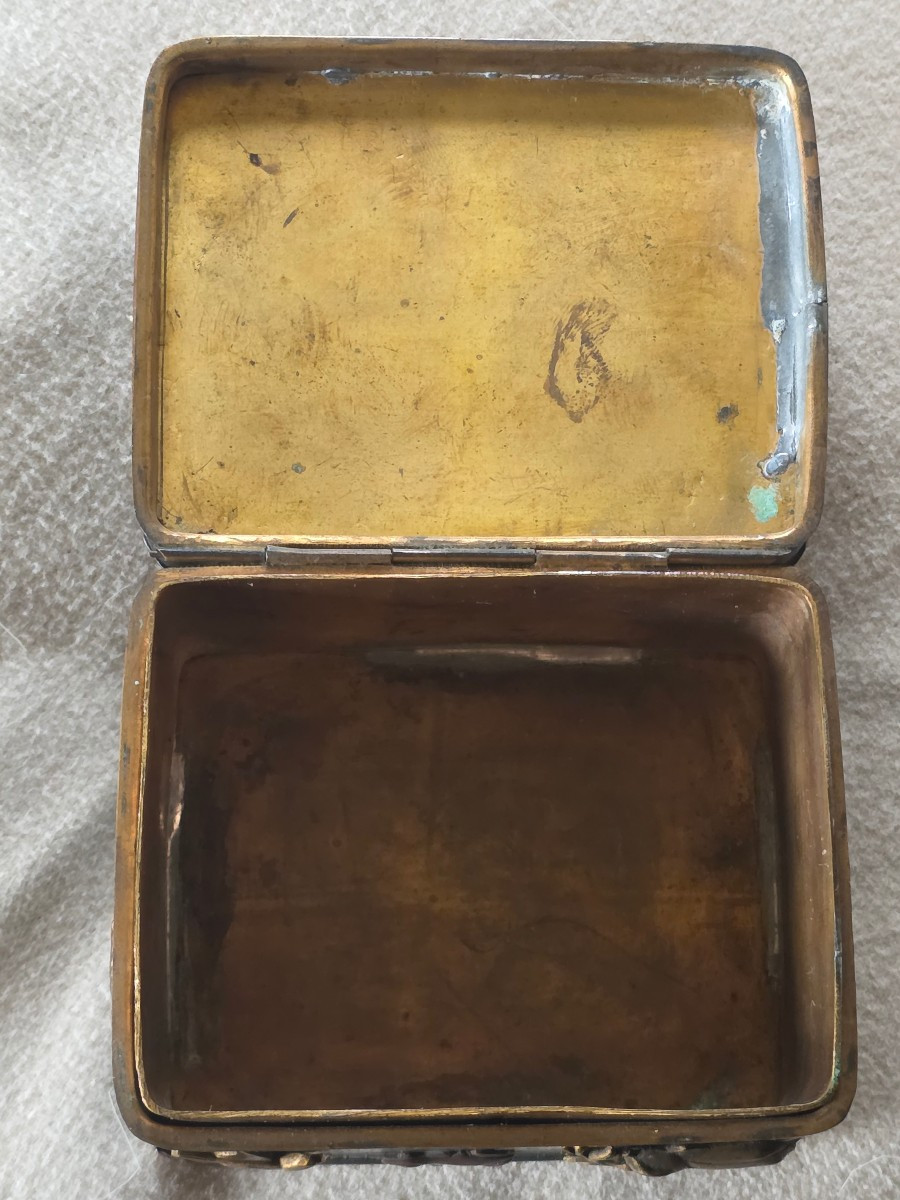 Japanese Metal Box With Insect, 19th Century-photo-4