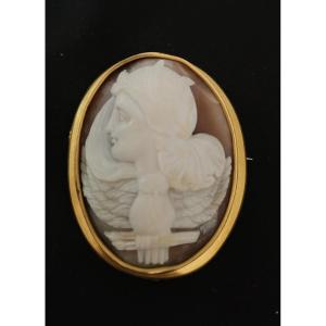 Shell Cameo Woman And Owl 19th Century