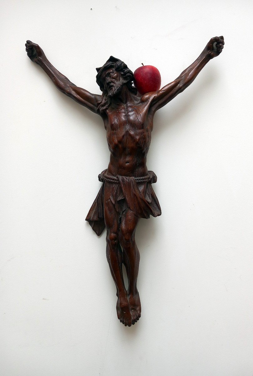 Grand Christ En Chêne Finement Sculpté 18 Eme-photo-4
