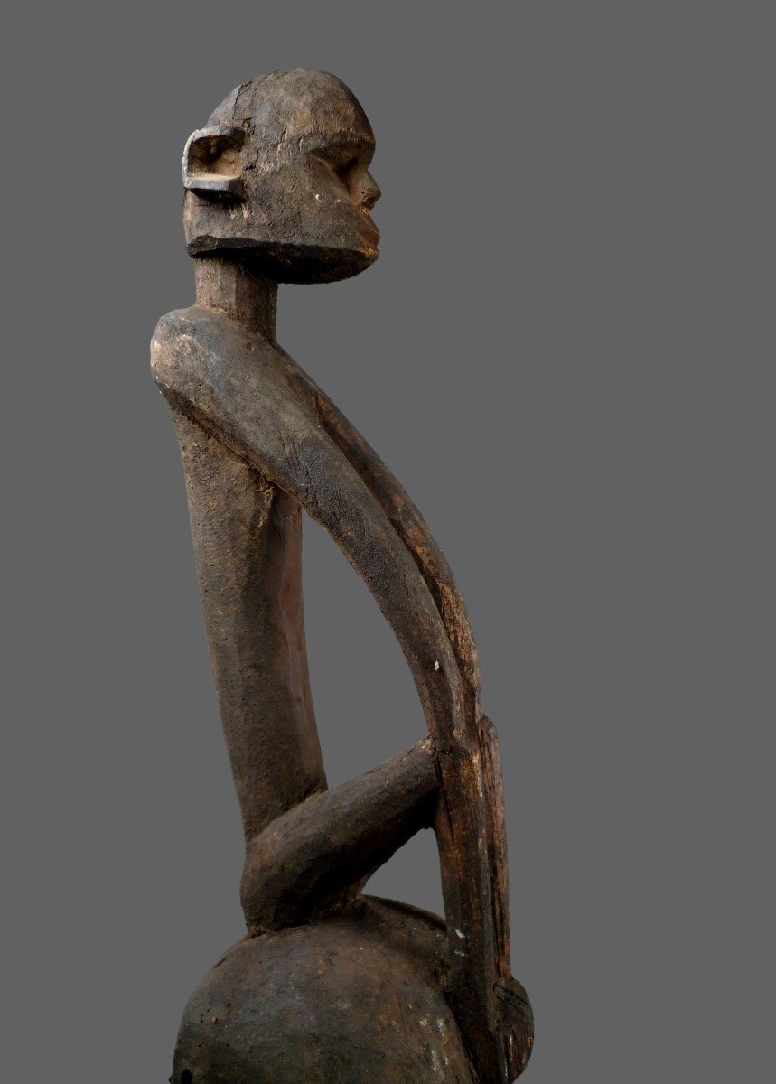 Dogon Mask Satimbe Mali-photo-3