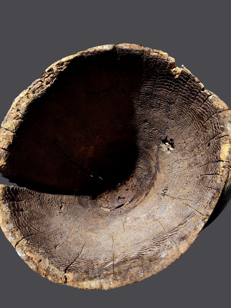 Large Mende Helmet Mask Sierra Leone-photo-4