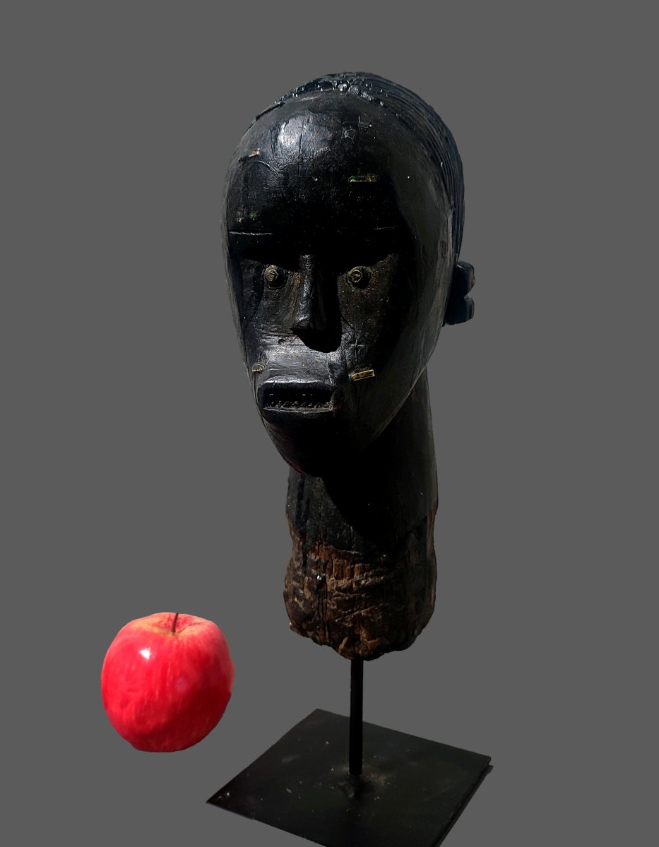 Tête Fang Gabon, byeri gardienne de reliquaire .-photo-2