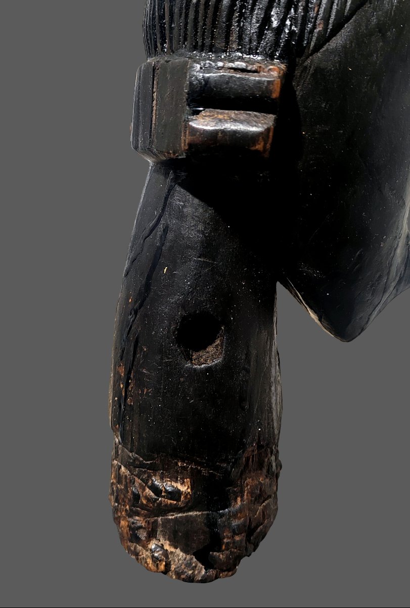 Tête Fang Gabon, byeri gardienne de reliquaire .-photo-2