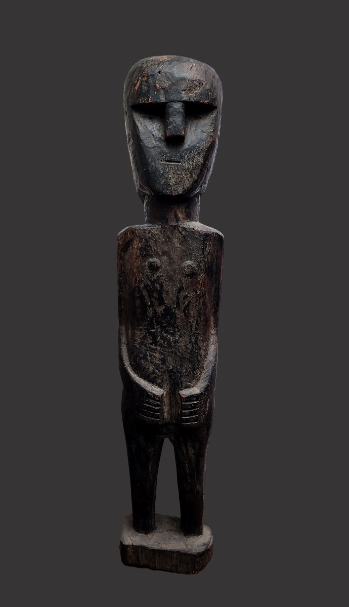 Tunjung Dayak, Bornéo , Indonésie statue totem ancienne collection Wolmark-photo-2