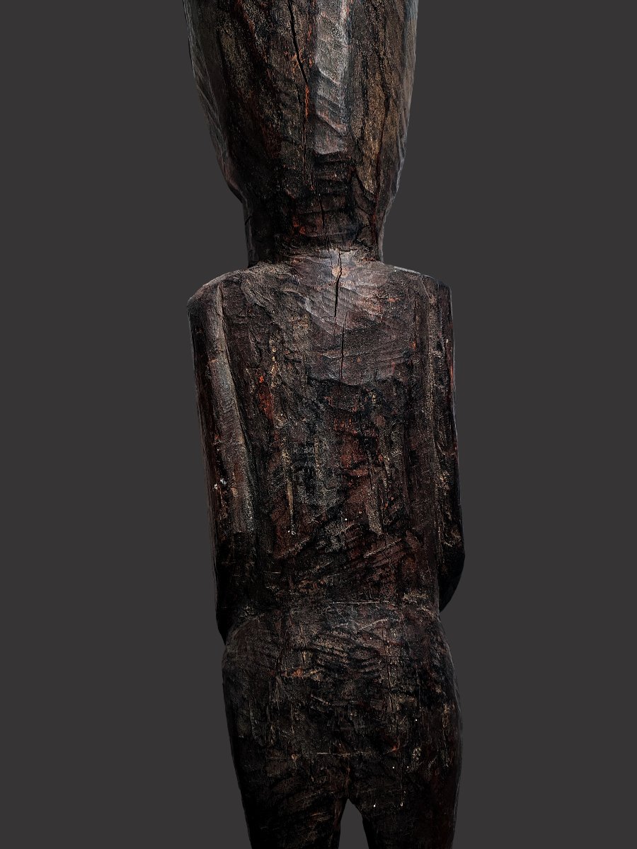 Tunjung Dayak, Bornéo , Indonésie statue totem ancienne collection Wolmark-photo-4