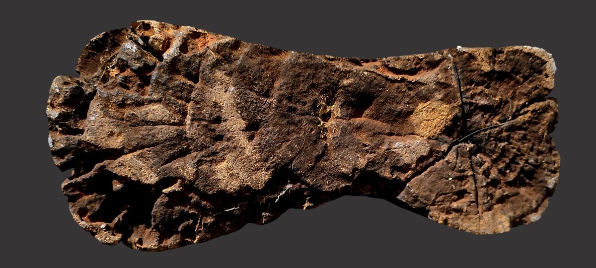 Statue fetiche janus Singe mendiant et femelle Baoulé Aboya -photo-5