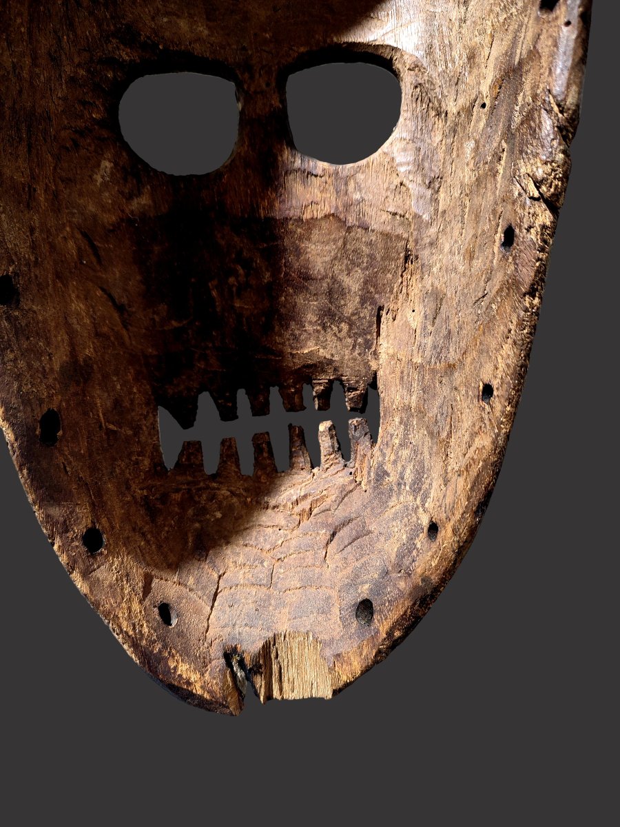 Skeleton Mask Idiok Ekpo Ibibio Nigeria-photo-2