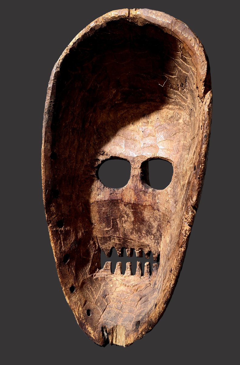 Skeleton Mask Idiok Ekpo Ibibio Nigeria-photo-3