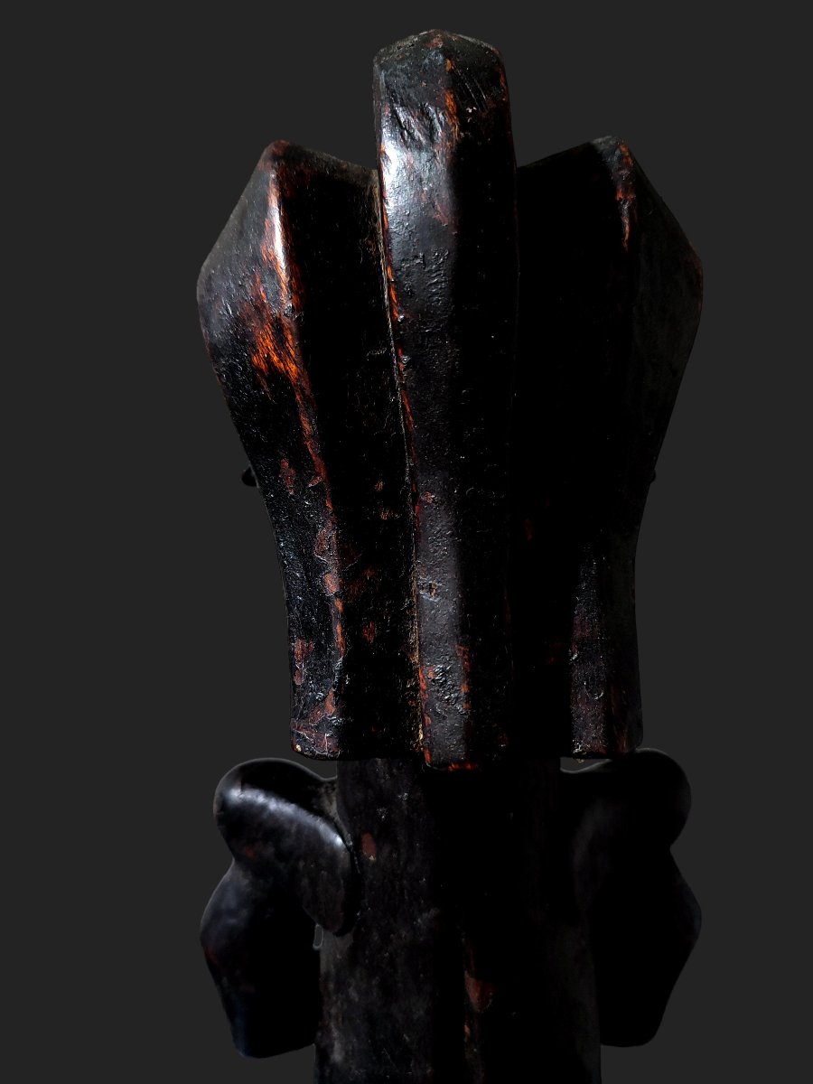 Fétiche statue fang Byeri gardien de reliquaire Gabon-photo-3