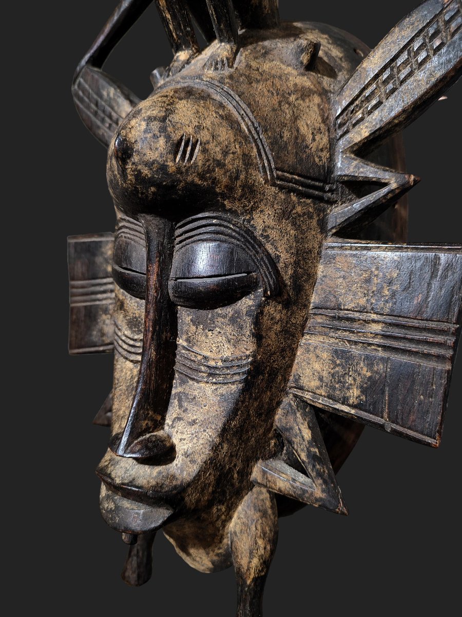 Masque Senoufo Kpélié -photo-3