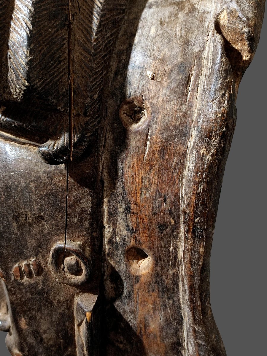 Kpan Mask, Baoule, Republic Of Côte d'Ivoire-photo-3