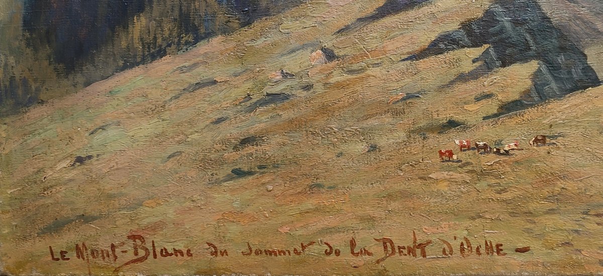 Arthur Charles Henri Herzog 1862–1913 Neuchâtel, Switzerland Mont Blanc, Dent d'Oche, Haute-savoie  -photo-4