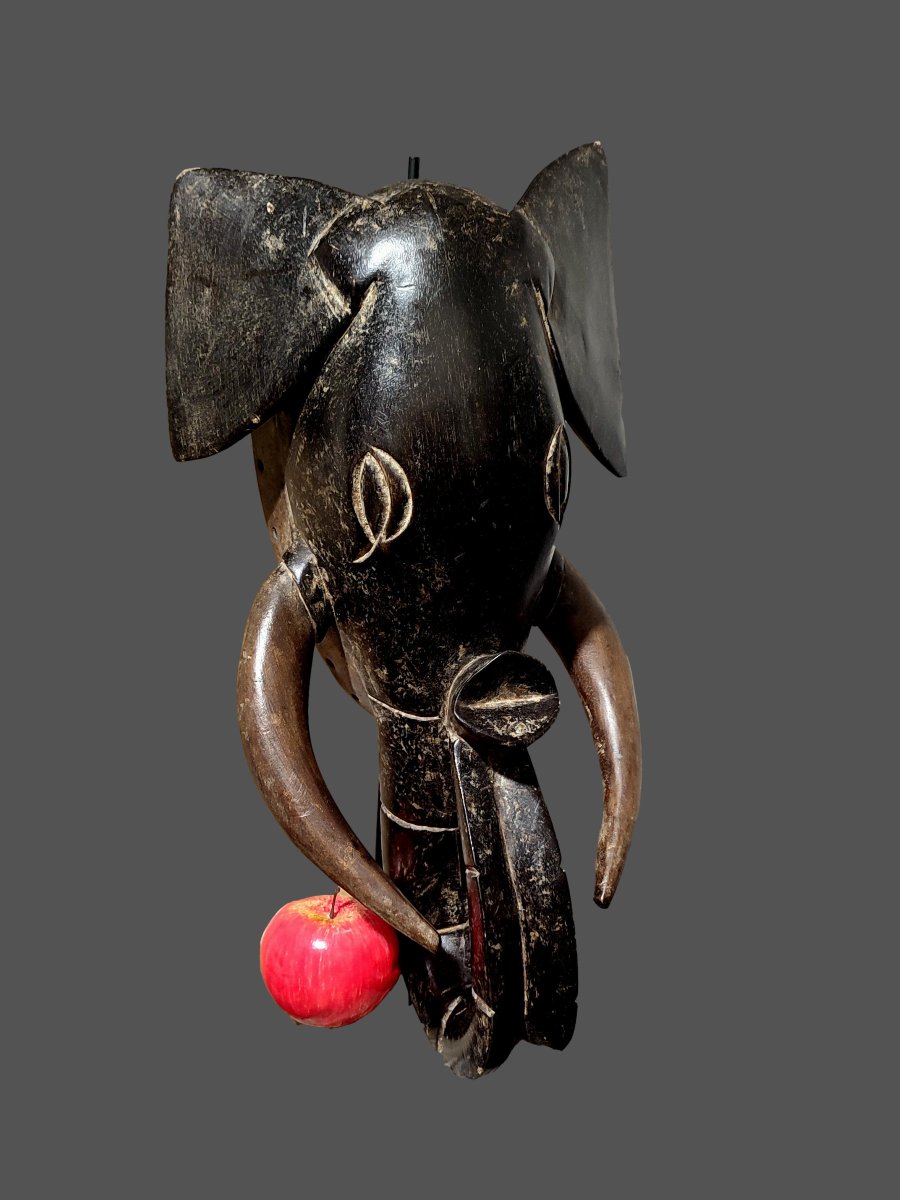 Baoulé Elephant Mask, Ivory Coast-photo-2
