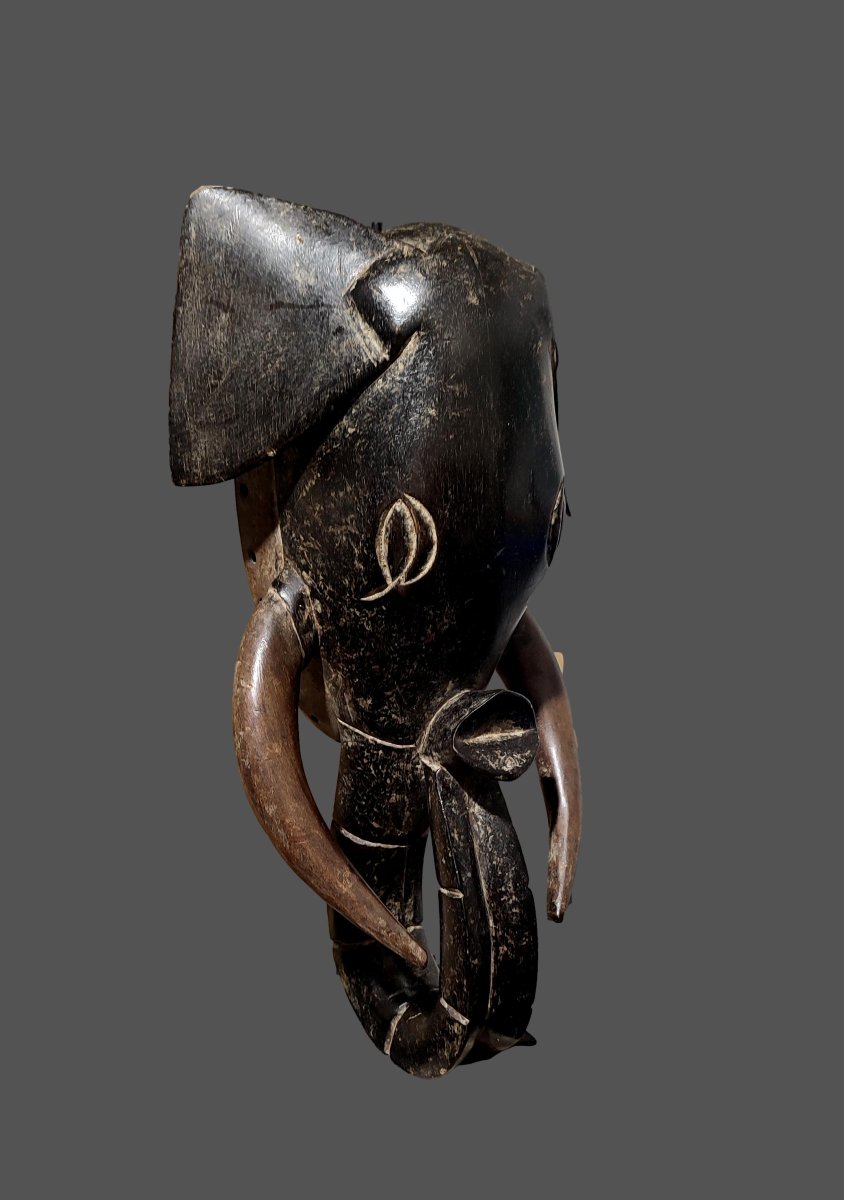 Baoulé Elephant Mask, Ivory Coast-photo-4