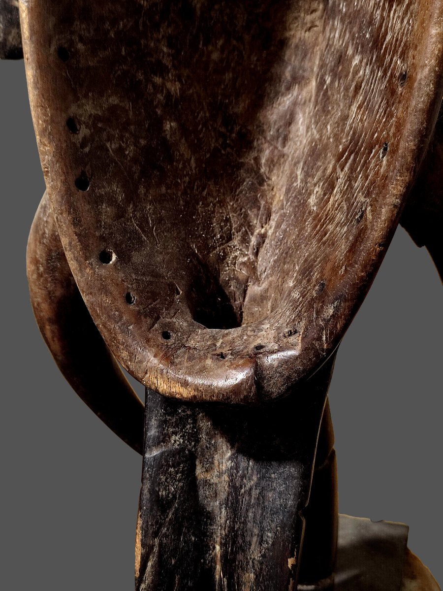 Baoulé Elephant Mask, Ivory Coast-photo-3